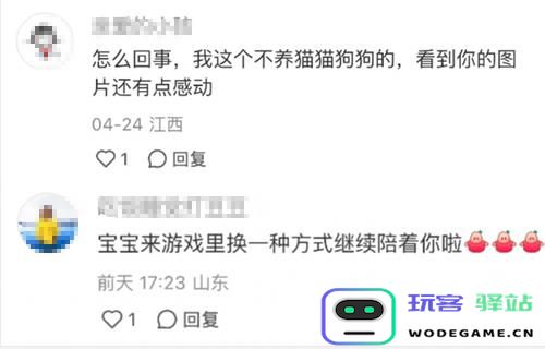 强推!申请以闪亮之名游戏加入养宠人必入清单