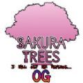 樱花树同人游戏中文版（Sakura